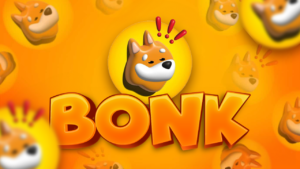 bonk coin