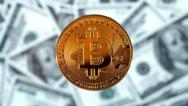 halving başarılı Halving