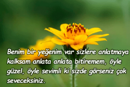 yeğene güzel sözler